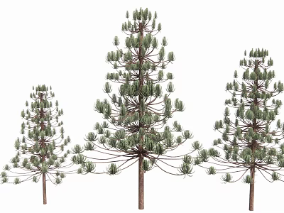 Arbor Trees With Varying Heights Lush Green Foliage And Natural Branch Structure 3d model