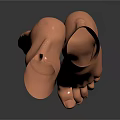 Detailed Human Foot Organ Model With Anatomical Structure And Realistic Design