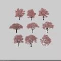 Stunning Pink Flowering Shrubs With Various Shapes For Garden Landscaping