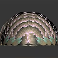 Colorful Bird Feathers With Pastel Pink Gray Light Green Detailed Fan Shaped Texture Dark Background