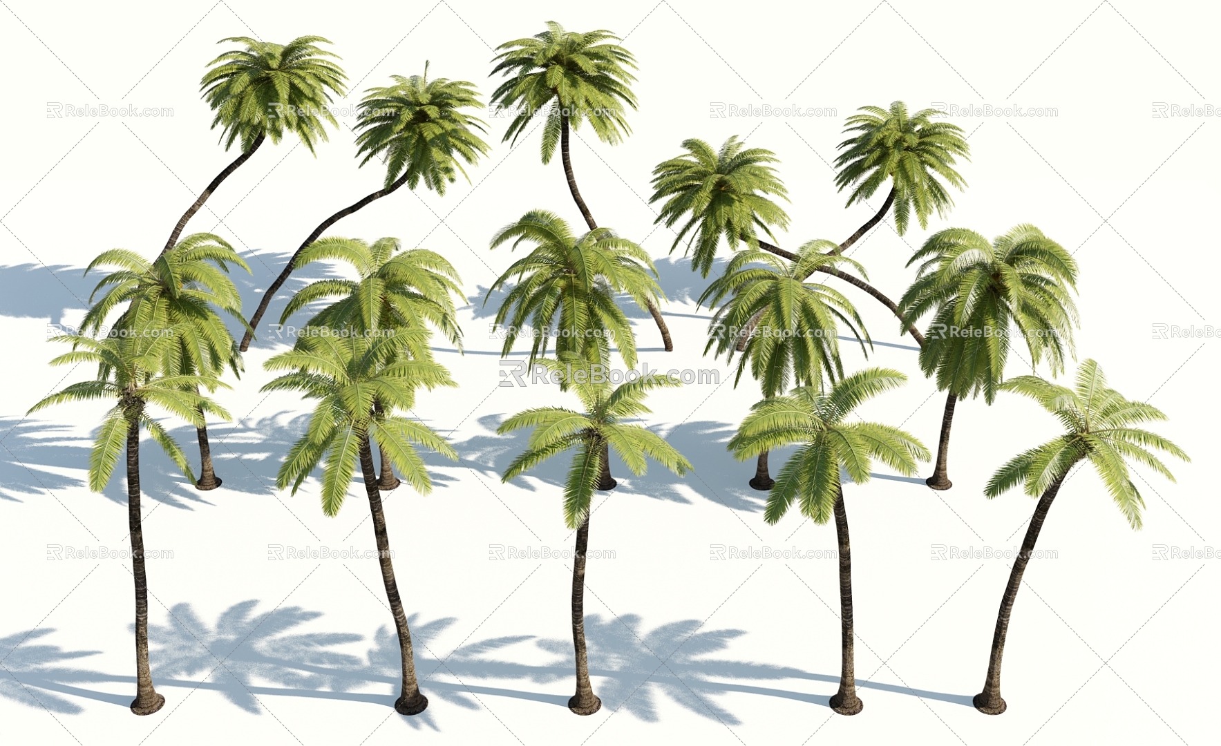 Modern Palm Tree 3d model