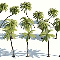 Modern Palm Tree 3d model