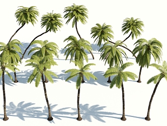 Modern Palm Tree 3d model