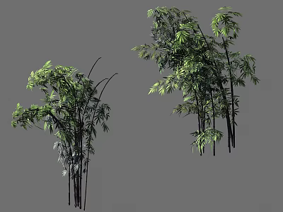 Green Bamboo Plants With Tall Stems And Lush Foliage In Natural Form 3d model