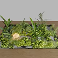 Lush Courtyard Garden Landscape Design With Various Green Plants Rocks Sand And Decorative Round Element