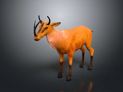 Orange Antelope With Black Horns Standing On Gray Background And Light Colored Neck 3d model