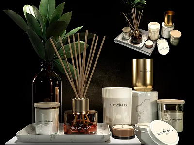 Premium Home Fragrance Products Including Reed Diffusers Candles And Soap Jars 3d model