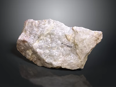 Petrified Stone With Natural Texture Rough Surface And Geological Specimen 3d model
