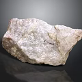 Petrified Stone With Natural Texture Rough Surface And Geological Specimen