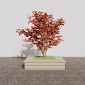 Square Stone Tree Planter with Red Leaf Tree and Black Ground 3d model