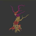 Dry Tree With Twisted Branches Exposed Roots And Textured Trunk On Dark Background 3d model