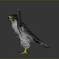 Modern Eagle Falcon Eagle 3d model