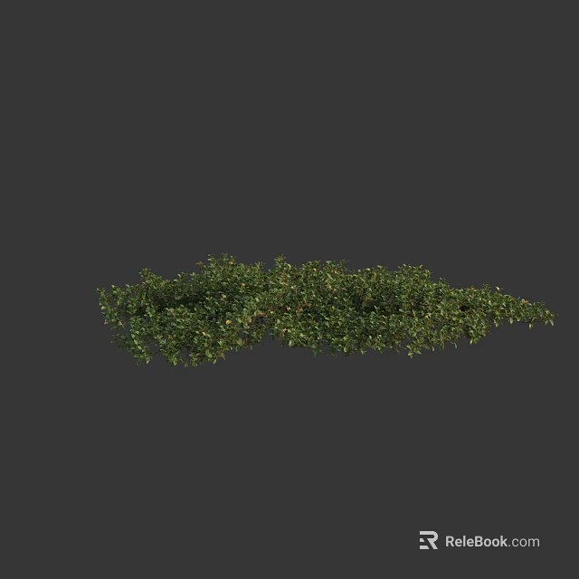 Lush Green Shrub With Dense Foliage And Vibrant Leafy Branches 3d model 