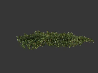 Lush Green Shrub With Dense Foliage And Vibrant Leafy Branches 3d model
