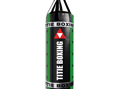 TITLE Boxing Green and Black Punching Bag for Fitness Training 3d model