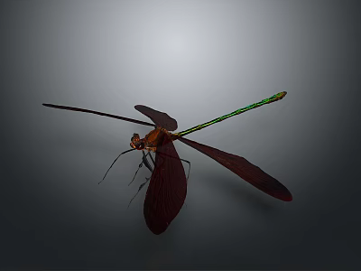 Detailed Dragonfly With Brown Wings And Green Slender Body On Gray Background 3d model
