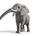 Modern Elephant Dynamic Elephant 3d model