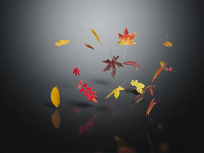 Falling Plant Leaves In Various Colors With Reflections On Dark Surface 3d model