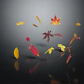 Falling Plant Leaves In Various Colors With Reflections On Dark Surface 3d model