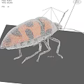 Vibrant Red And Black Spotted Flying Insect With Colorful Exoskeleton And Long Antennae