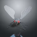 Game Movie Character 3D Rendered Fly With Transparent Wings Red Eyes Metallic Body