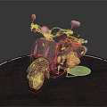 Gray Vintage Scooter Displayed On Circular Black Carpet Platform With Classic Details