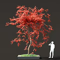 Vibrant Red Leaved Tree With Square Planter Base And Green Grass Near White Silhouette Figure