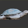 Modern Turtle Cartoon Turtle Snapping Turtle Chickbill Turtle Reptile 3d model