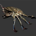 Crab With Striped Shell And Blue Legs Detailed Marine Creature View