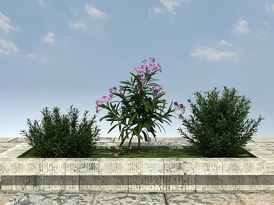Vibrant Purple Flowers And Lush Green Shrubs In Stone Planter With Blue Sky 3d model