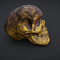 Vintage Golden Brown Textured Skull On Dark Background With Detailed Surface