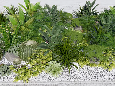 Lush Green Garden With Diverse Plants Cactus Ferns Succulents And White Pebbles 3d model