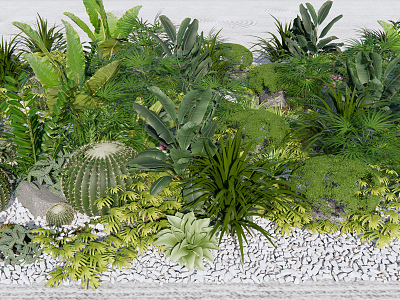 Modern Plant Heap Landscape model