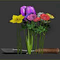 Vibrant Multicolored Flowers With Shovel Rake And Trowel Garden Tools