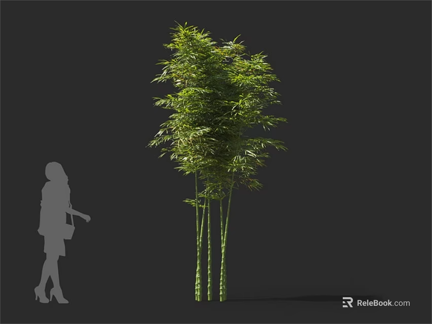 Bamboo Plants With Multiple Green Stalks And Lush Leaves Near Woman Silhouette 3d model 