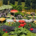 Vibrant Garden Flowers With Red Yellow Mushrooms Rabbit Ferns And Rocks