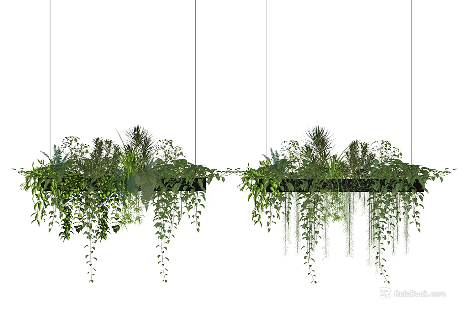Lush Green Hanging Basket Plants With Trailing Leaves For Indoor Decoration 3d model 