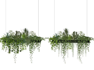 Lush Green Hanging Basket Plants With Trailing Leaves For Indoor Decoration 3d model