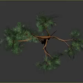 3D Rendered Tree With Orange Trunk And Green Foliage In Gray Background
