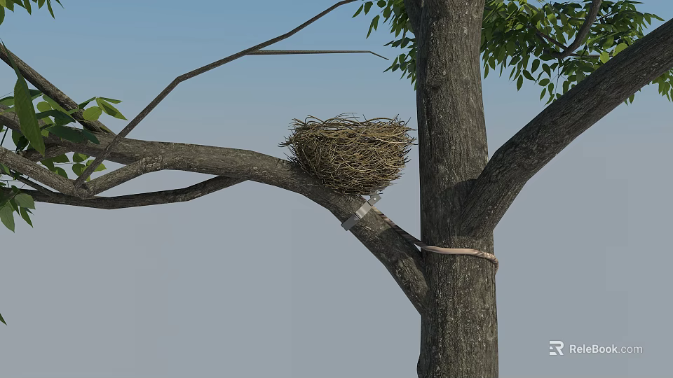 Bird Nest on Tree Branch with Green Leaves and Blue Sky Background 3d model 