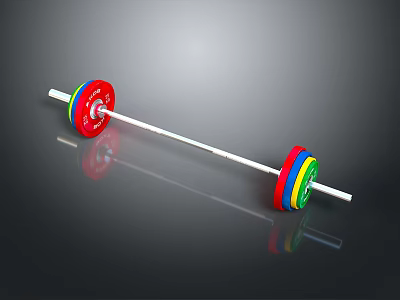 Gym Fitness Barbell Equipment With Colorful Weight Plates And White Bar 3d model