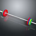 Gym Fitness Barbell Equipment With Colorful Weight Plates And White Bar