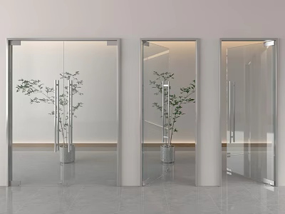 Modern Glass Doors With Silver Frames And Green Plant Gray Tiled Floor White Walls 3d model