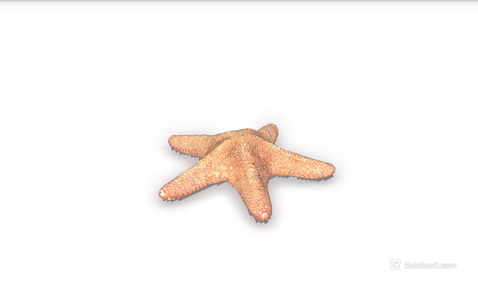 Orange Starfish As Marine Aquatic Animal With Five Arms And Textured Surface In Underwater Habitat 3d model 