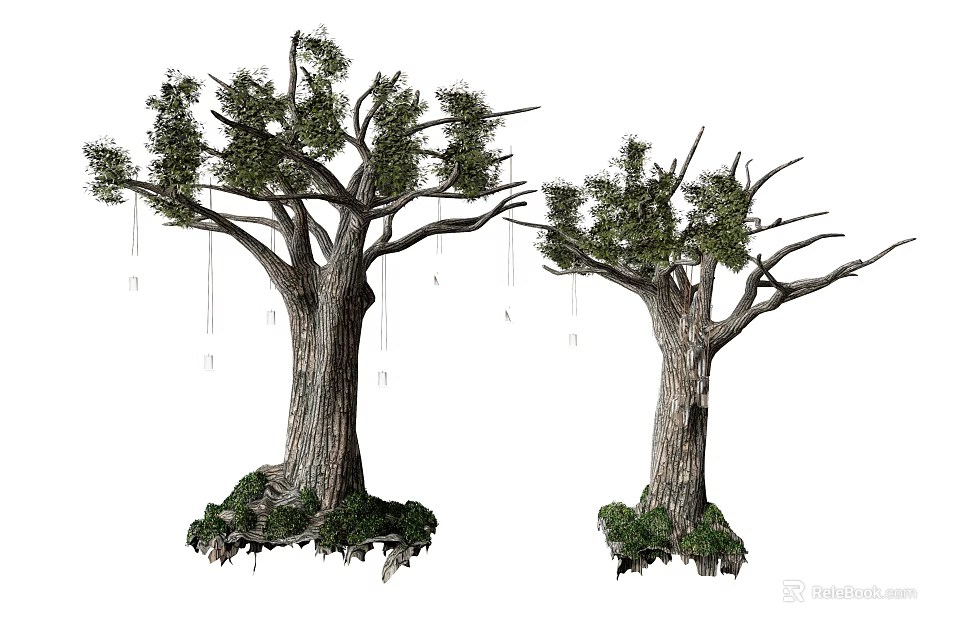 Two Tall Arbor Trees With Thick Trunks Green Foliage And Root Vegetation 3d model 