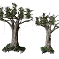 Two Tall Arbor Trees With Thick Trunks Green Foliage And Root Vegetation