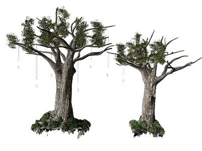 Two Tall Arbor Trees With Thick Trunks Green Foliage And Root Vegetation 3d model