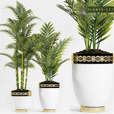 Elegant Decorative Plant Set With White Textured Planters And Gold Accent Rings 3d model