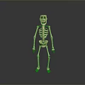 Cartoon Skeleton 3D Model as Game Movie Character with Stylized Design