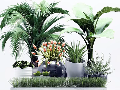 Modern potted green plant potted plant combination 3d model